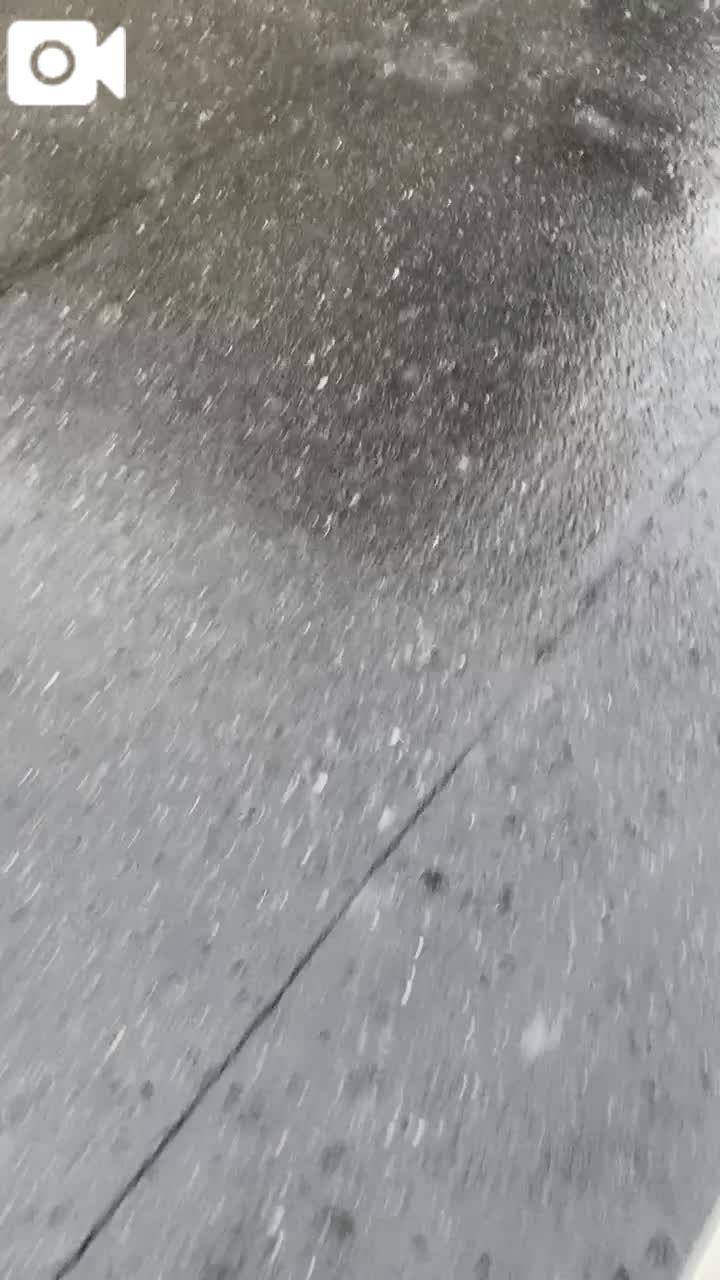 ☔️雨だねー