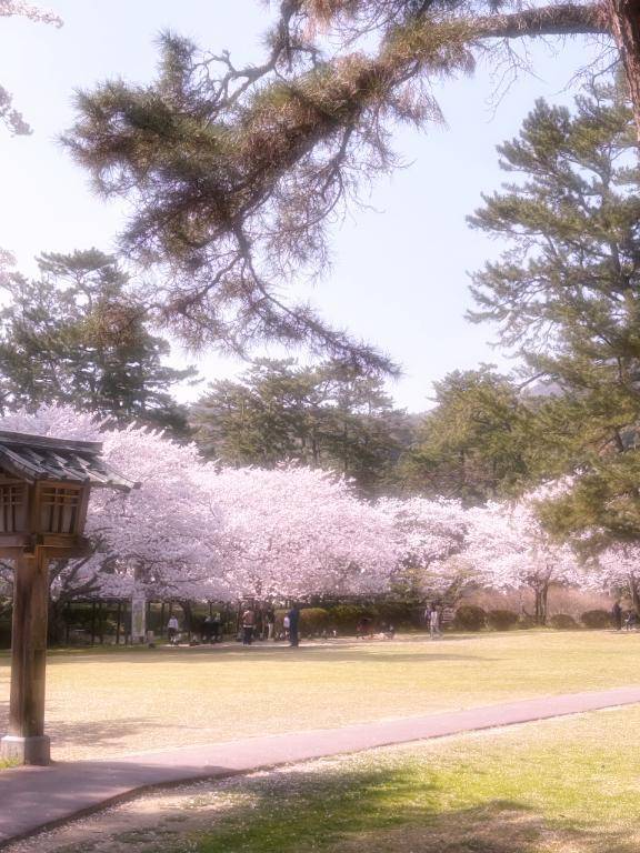 出雲大社とドライブ🌸