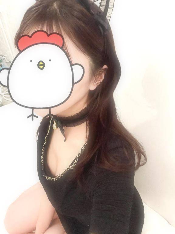 何色🐈