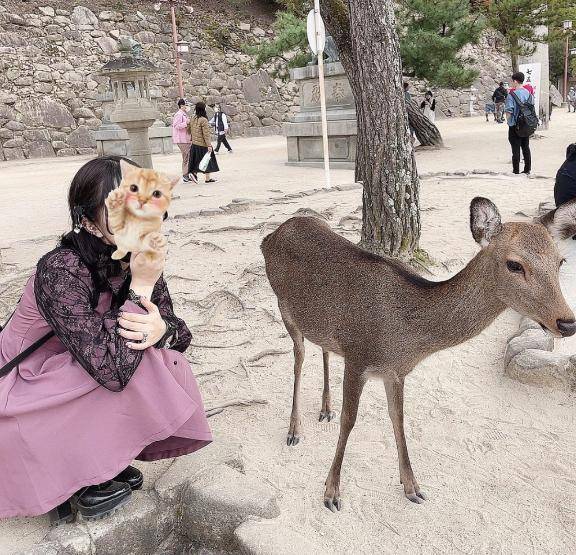 "広島菜"とは