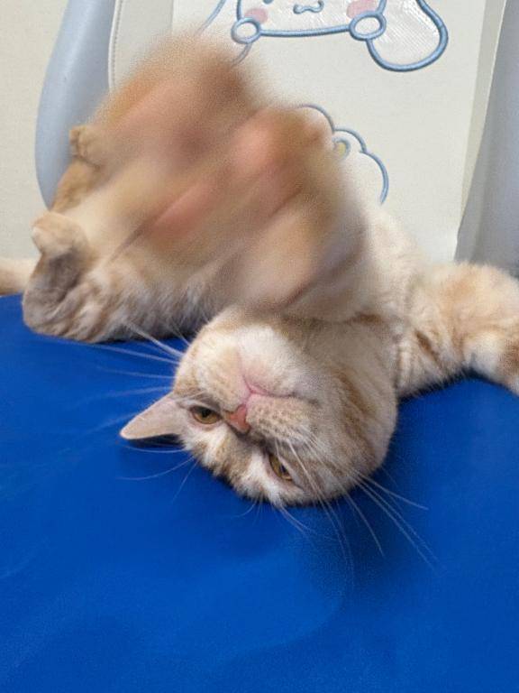 避暑地に行きたい