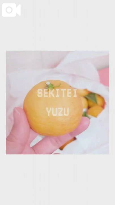 冬至も近いし🍋