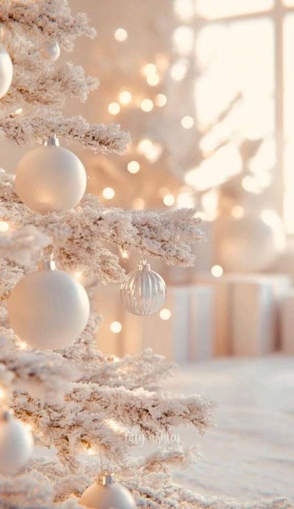 🤍𝐺𝑜𝑜𝑑 𝑚𝑜𝑟𝑛𝑖𝑛𝑔︎ 🌻