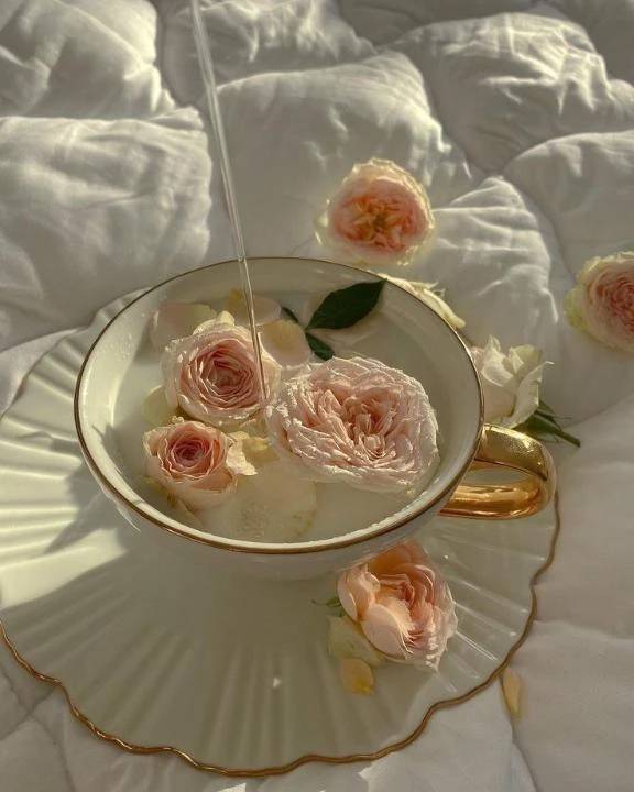 🤍New X account🤍