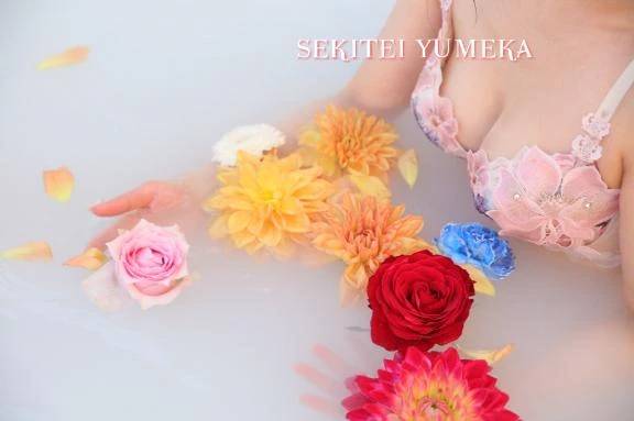 🩷映えシリーズ🩷