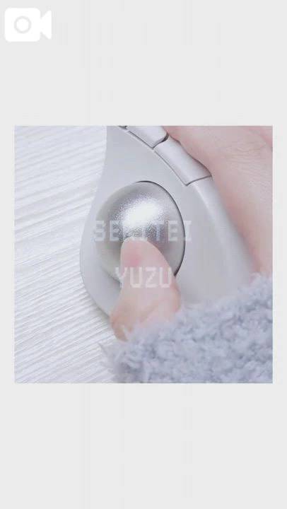 【お題に回答📝】マウスの誕生日