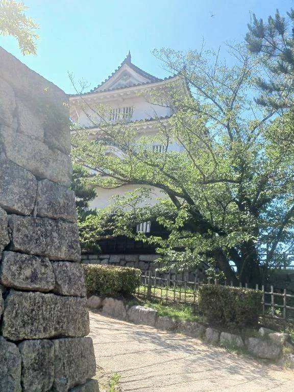 ばんげなったなんす✨