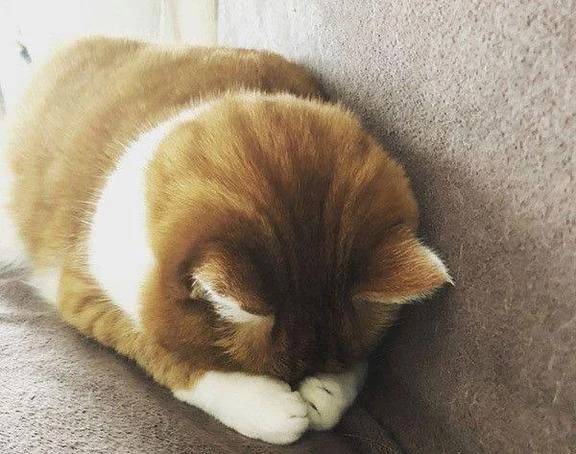 ごめんなさい😣🙏💦