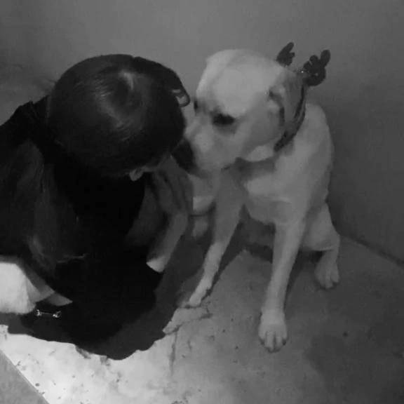 たでえまあ❣️