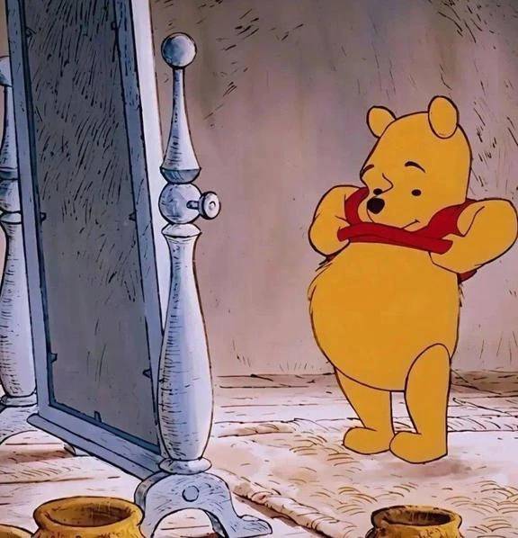 🤍𝐺𝑜𝑜𝑑 𝑚𝑜𝑟𝑛𝑖𝑛𝑔︎ 🌻🤍