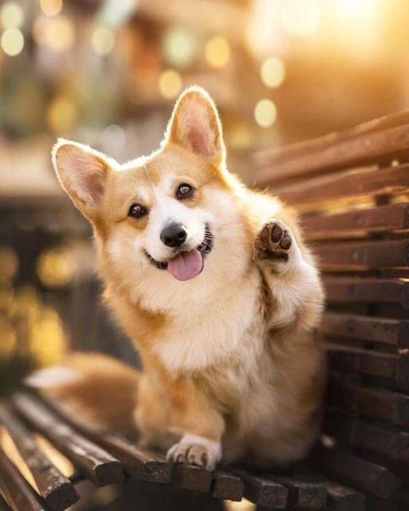 🤍本日はありがとうございました！🤍