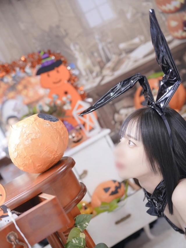 あみ（石庭）