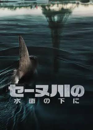 今話題の…🎬🦈