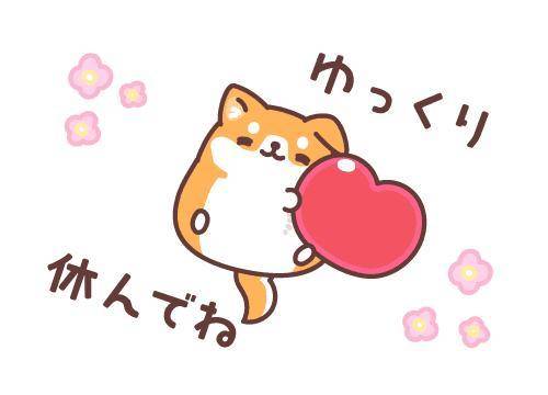 こんばんは！