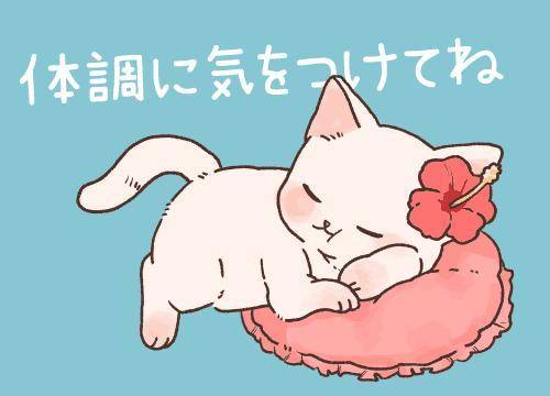 おはようございます！
