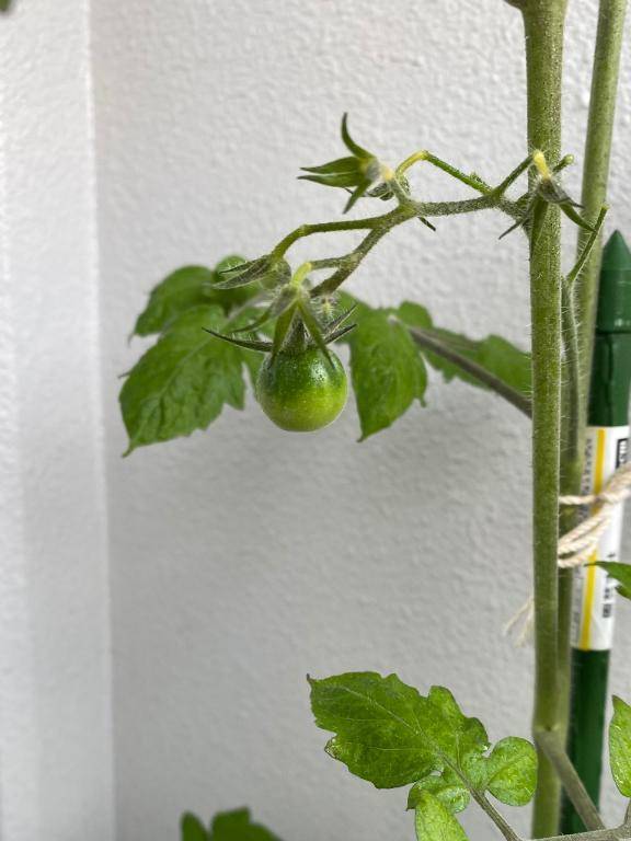 後ちょっと〜！