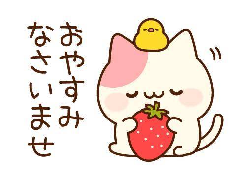 こんばんは！