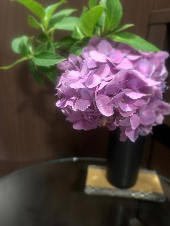 ありがとう😊❤️