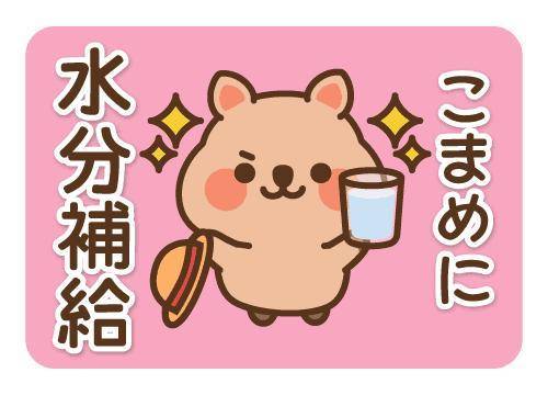 こんばんは！