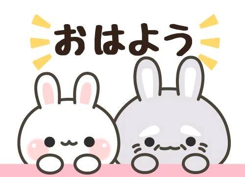 おはようございます