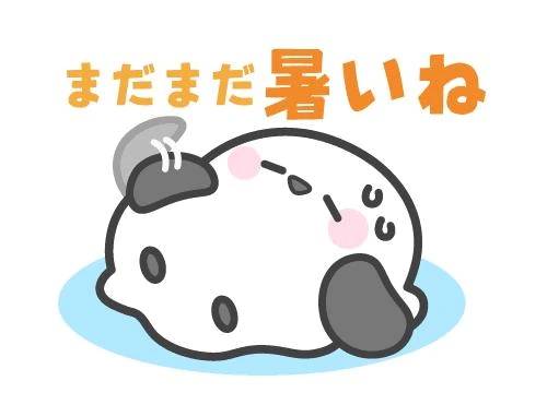 こんにちは