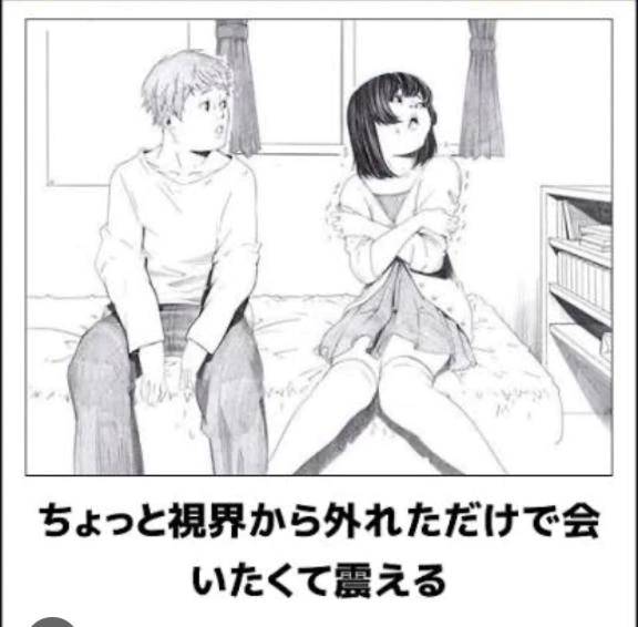 【お礼写メ日記】シャーさん🐱🐴