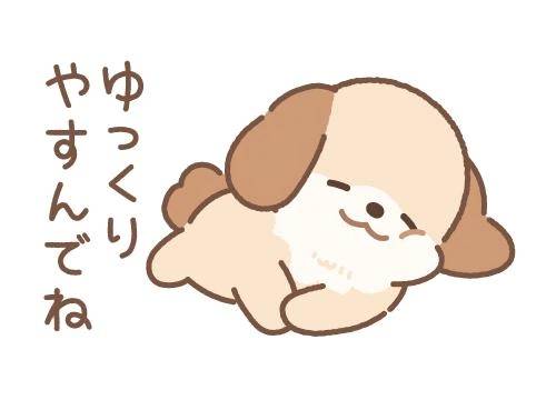 こんばんは！