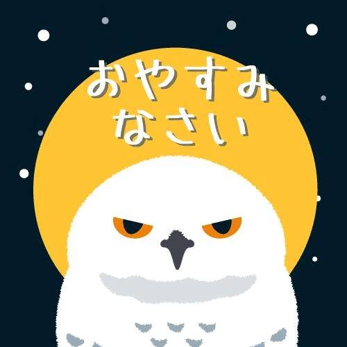 こんばんは！