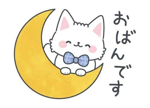 こんばんは！
