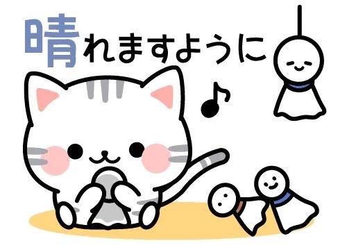 こんばんは！