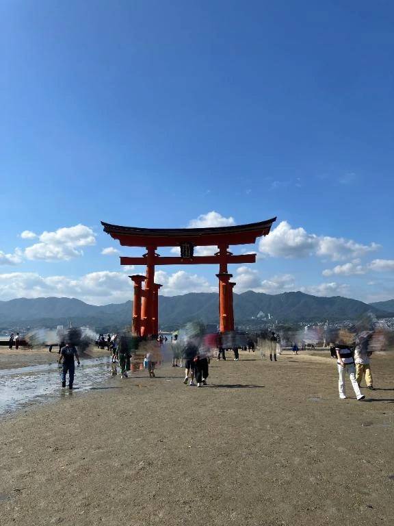 宮島⛩️✨