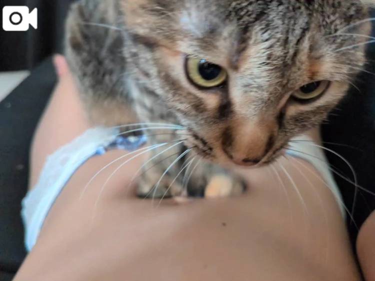 🐱💕