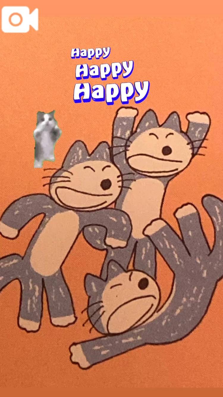 🐱🐱🐱🐱🐱🐱🐱🐱🐱🐱🐱