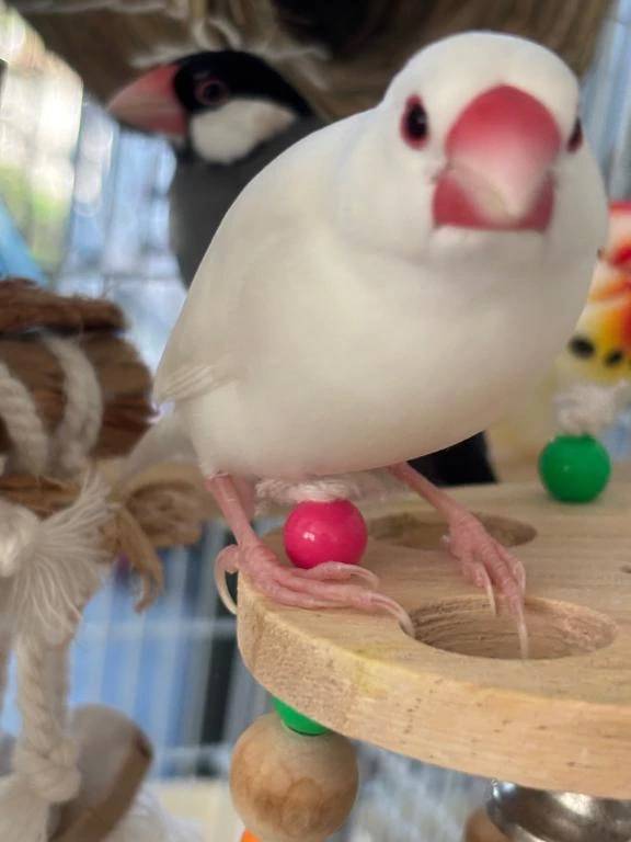 明日ドエロ出勤させて頂きます☺️💕