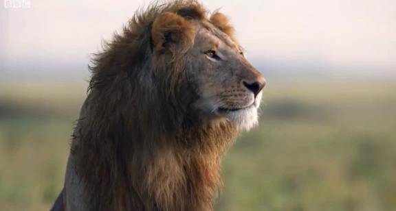 働かずに一夫多妻❤️