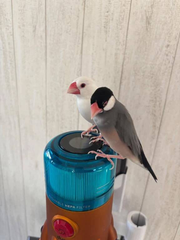 ドエロ出勤✨完売💖誠にありがとうございます✨