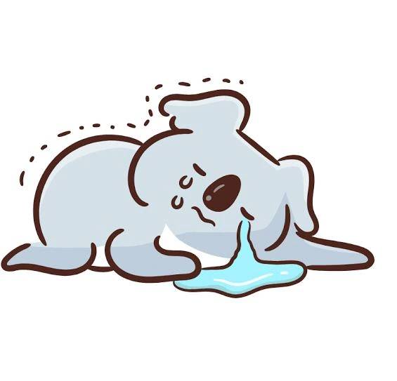 きちゃいました