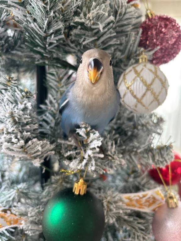 ドエロ出勤✨完売💖誠にありがとうございます✨