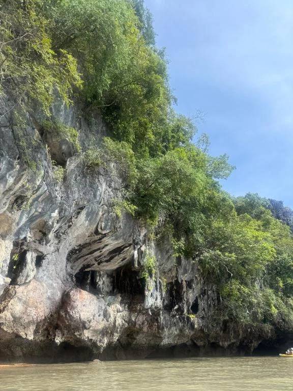 嚴島 さとみ（石庭別館）