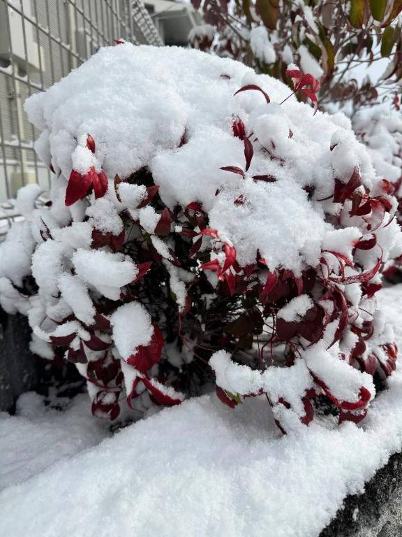 さて、どうだろう🍯🫧