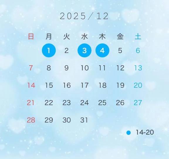 12月の予定🩵