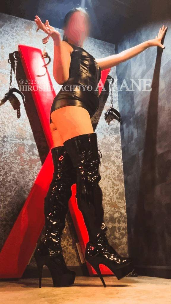 🗓️｜本日完売🈵🌸