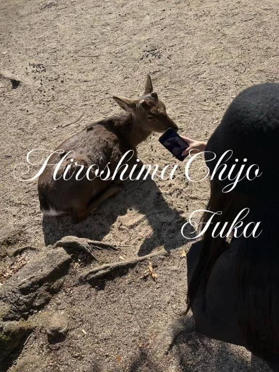 （📢）本日完売♡