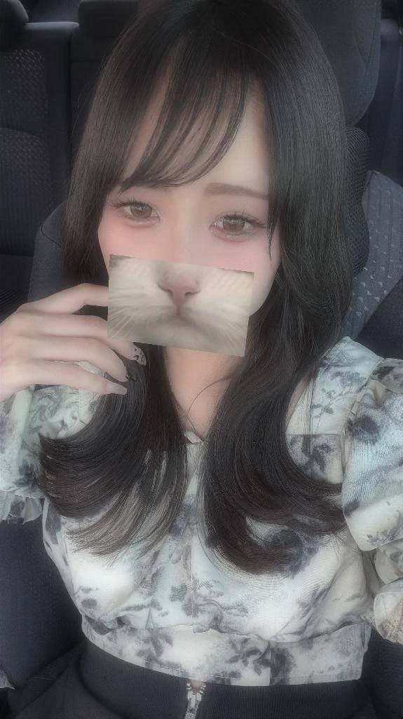 初めまして！