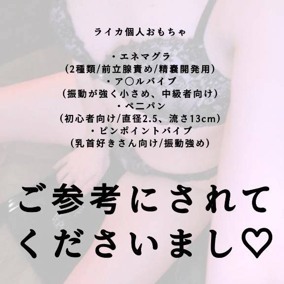 🌹おもちゃ一覧🌹