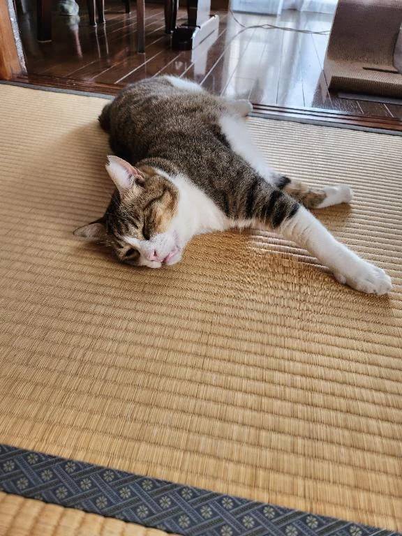 思い出し