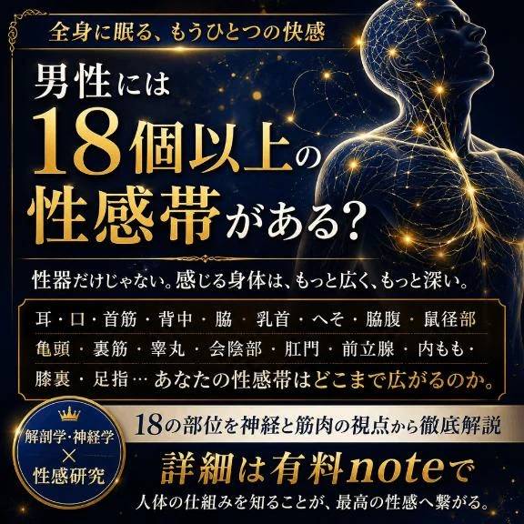 男性の性感帯、本当に知っていますか？🧠