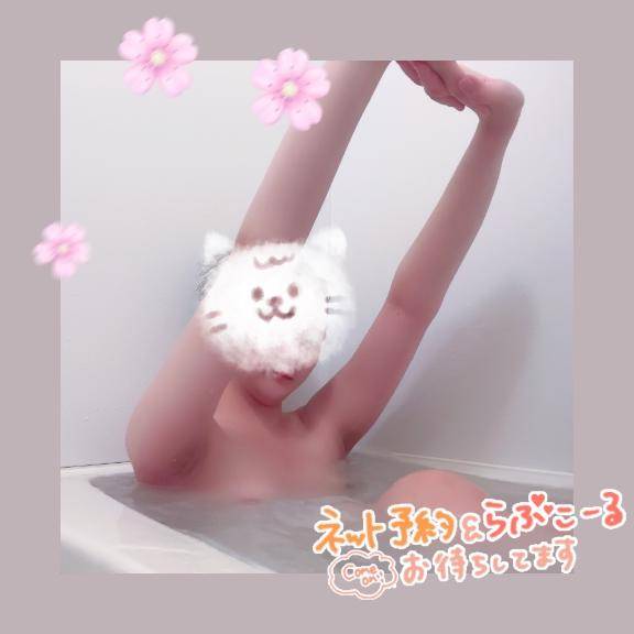 明日はおやすみなのです