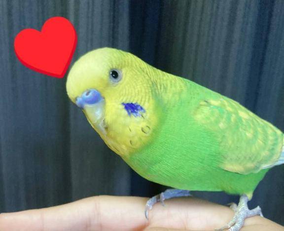 おやすみ前に、、???