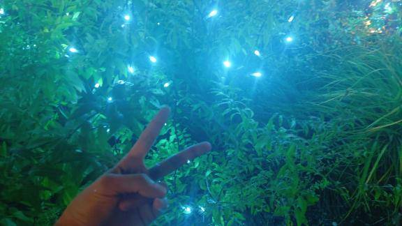 11月18日、19日出勤します??